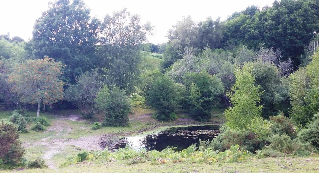 Whitemoor House B&B Lyndhurst Εξωτερικό φωτογραφία