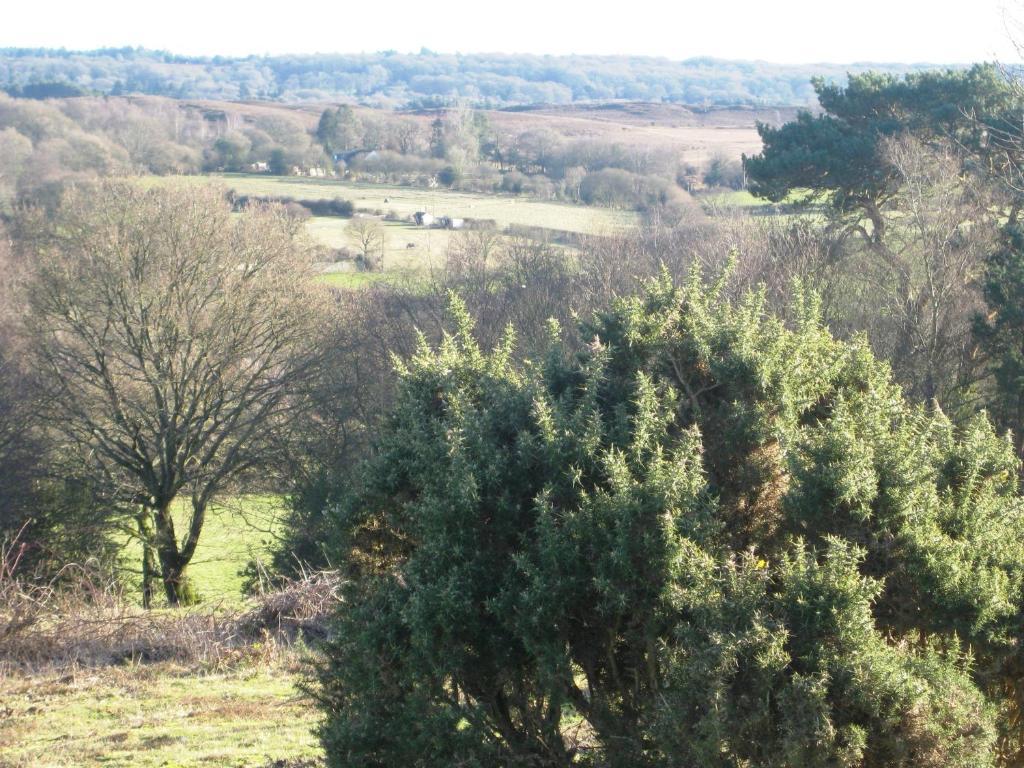 Whitemoor House B&B Lyndhurst Εξωτερικό φωτογραφία