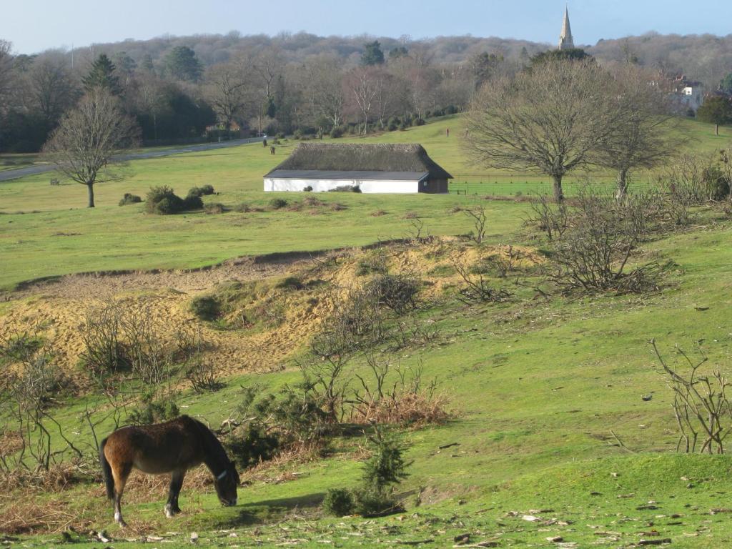 Whitemoor House B&B Lyndhurst Εξωτερικό φωτογραφία